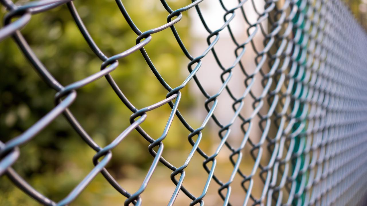 Close-up of a chain-link fence, with a blurred green background.