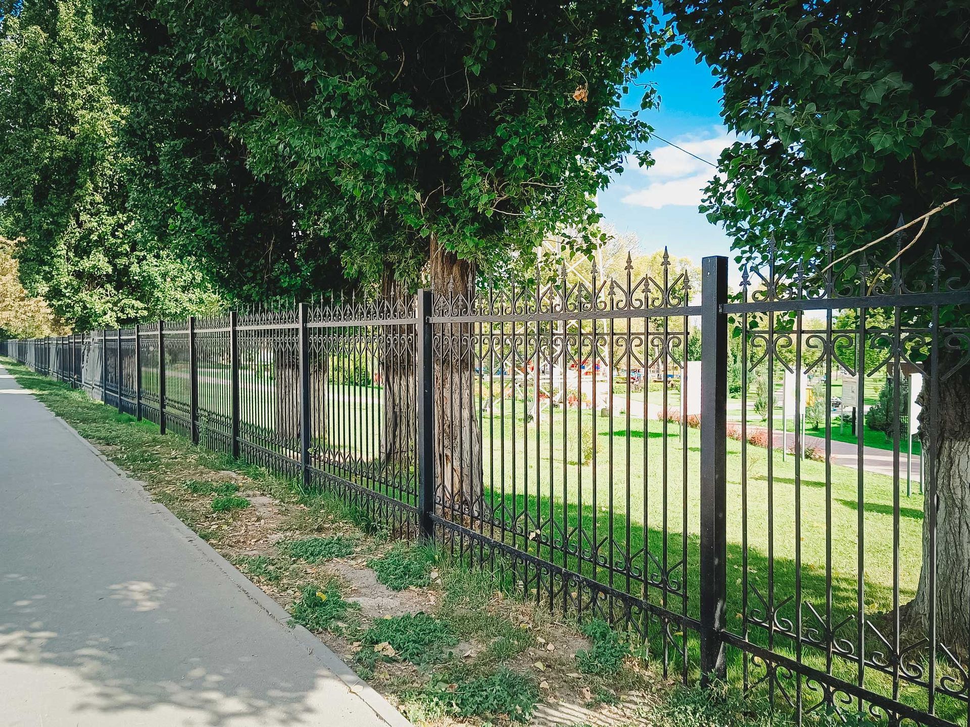 Black wrought-iron fence bordering a sidewalk and green lawn with tall trees.