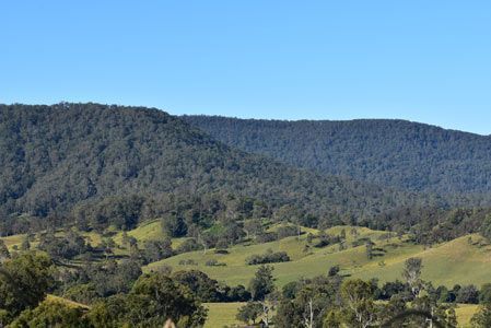 A View of A Lush Green Hillside with Trees and Mountains in The Background — Northern Rivers Demolition & Asbestos in Casino, NSW