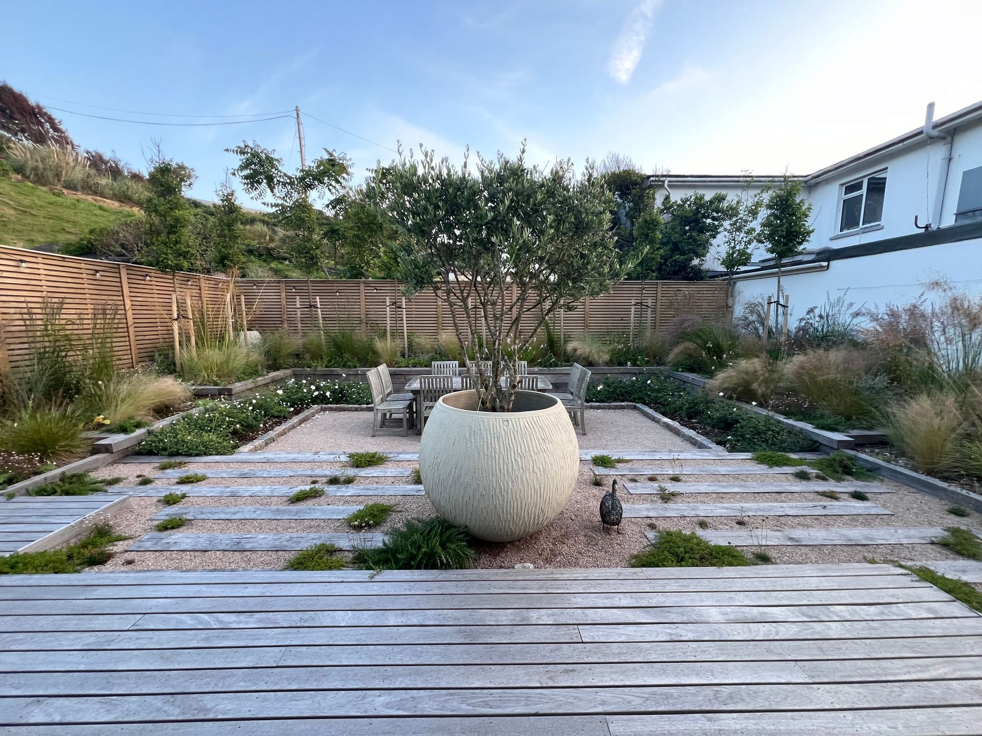 A stone patio with a large potted tree, surrounded by low plants and wooden decking.