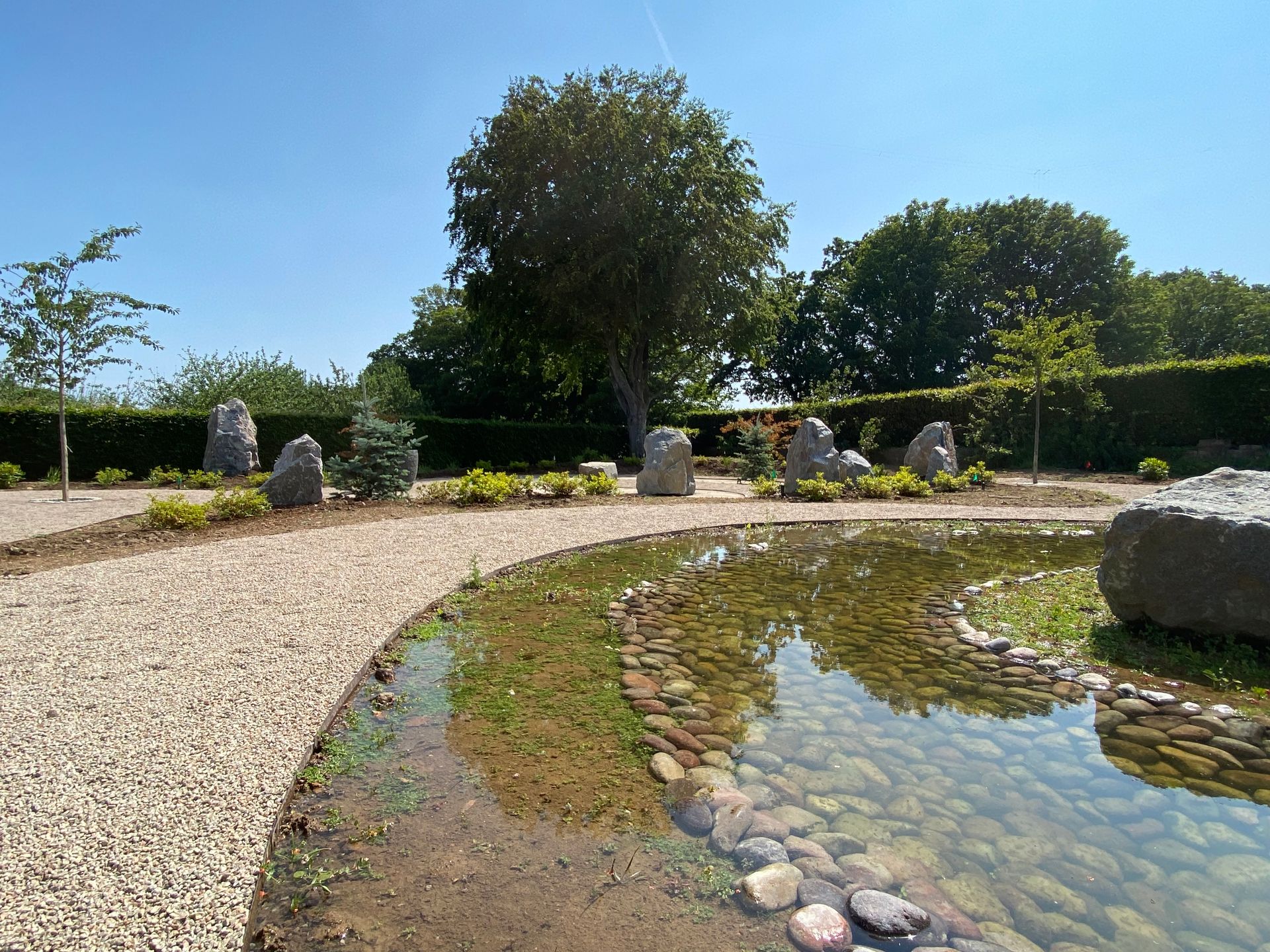 Serene garden with a gravel path, pond, rocks, and trees against a blue sky.