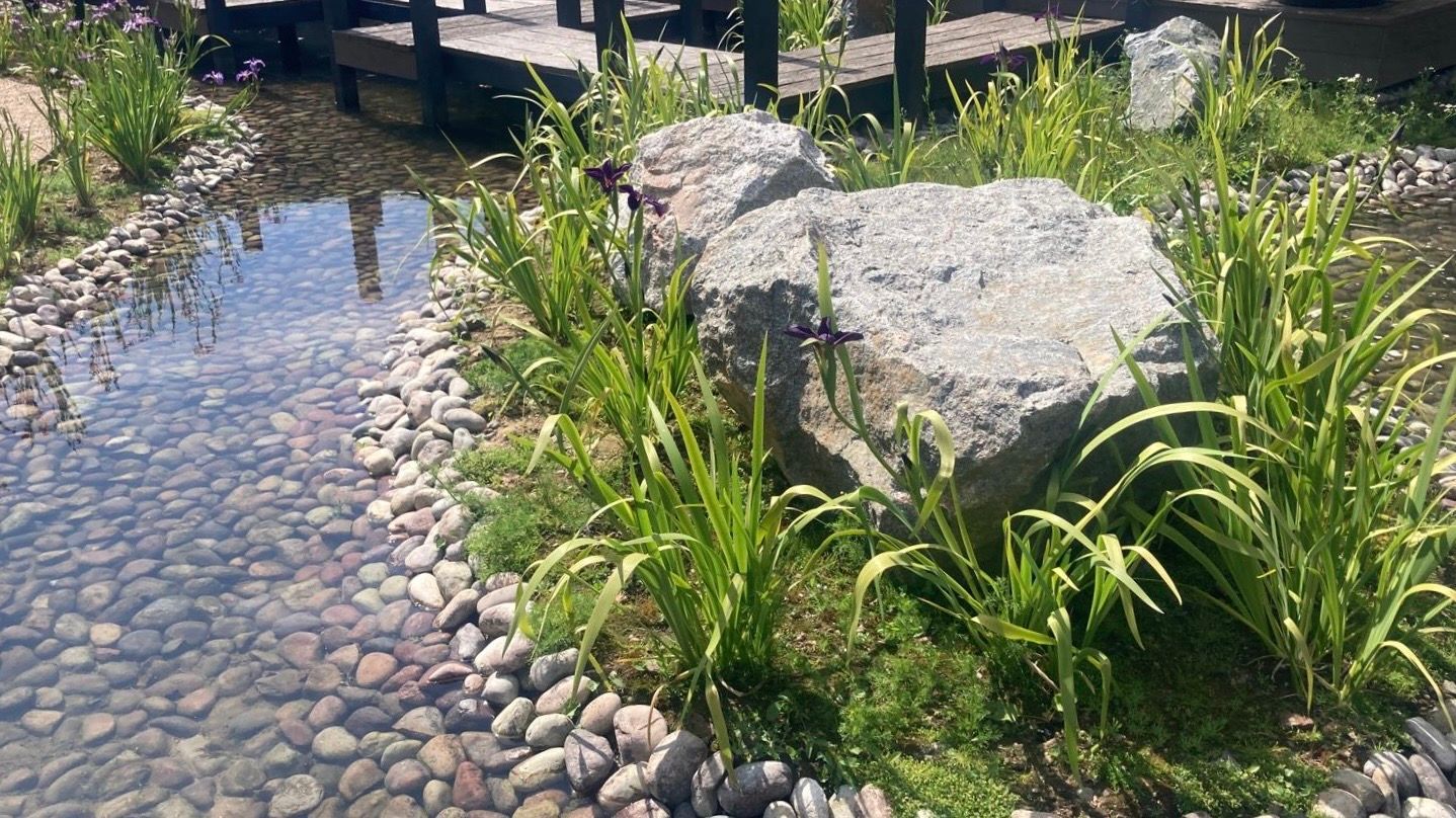 Stream lined with pebbles, large gray rocks, and green grasses, with a wooden bridge in the background.