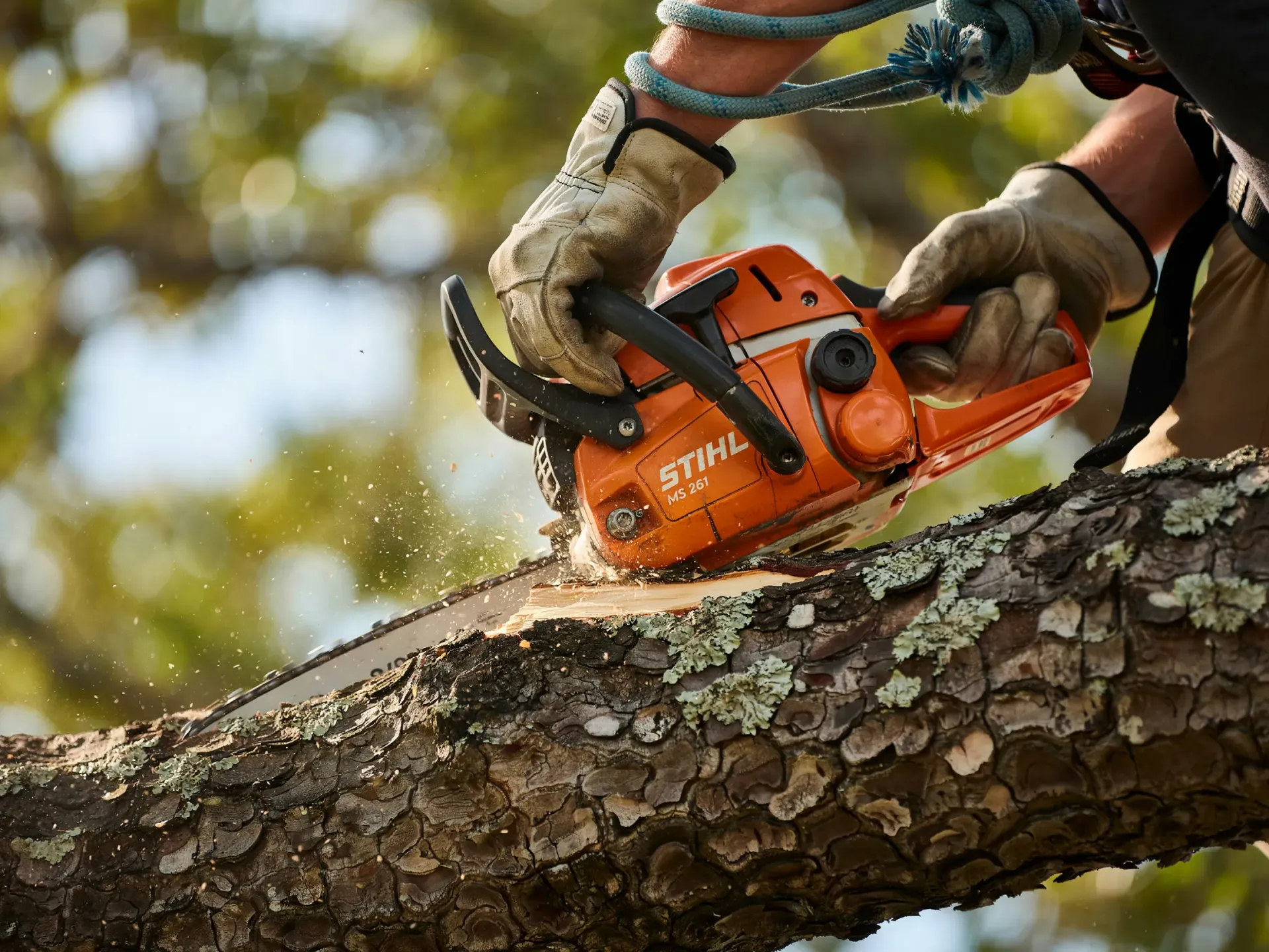 Gloved hands using an orange chainsaw to cut a tree trunk outdoors