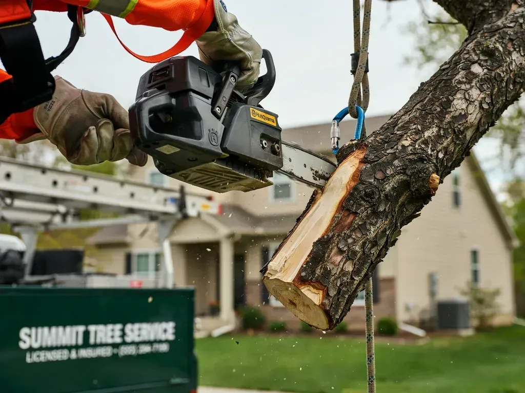 Worker using a chainsaw to cut a tree branch in a suburban yard