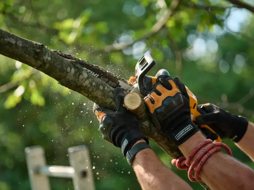 Hands with gloves using a chainsaw to cut a tree branch outdoors, wood chips flying