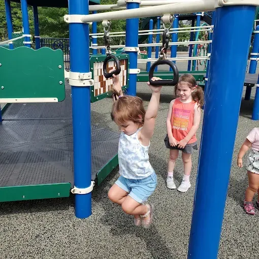 A child swings on monkey bars at a playground, two others watch.
