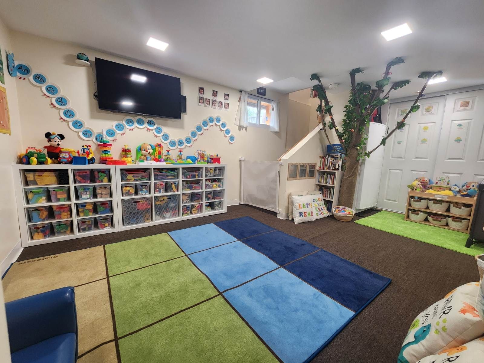 Playroom with shelves of toys, a tree, rug, and TV on the wall.