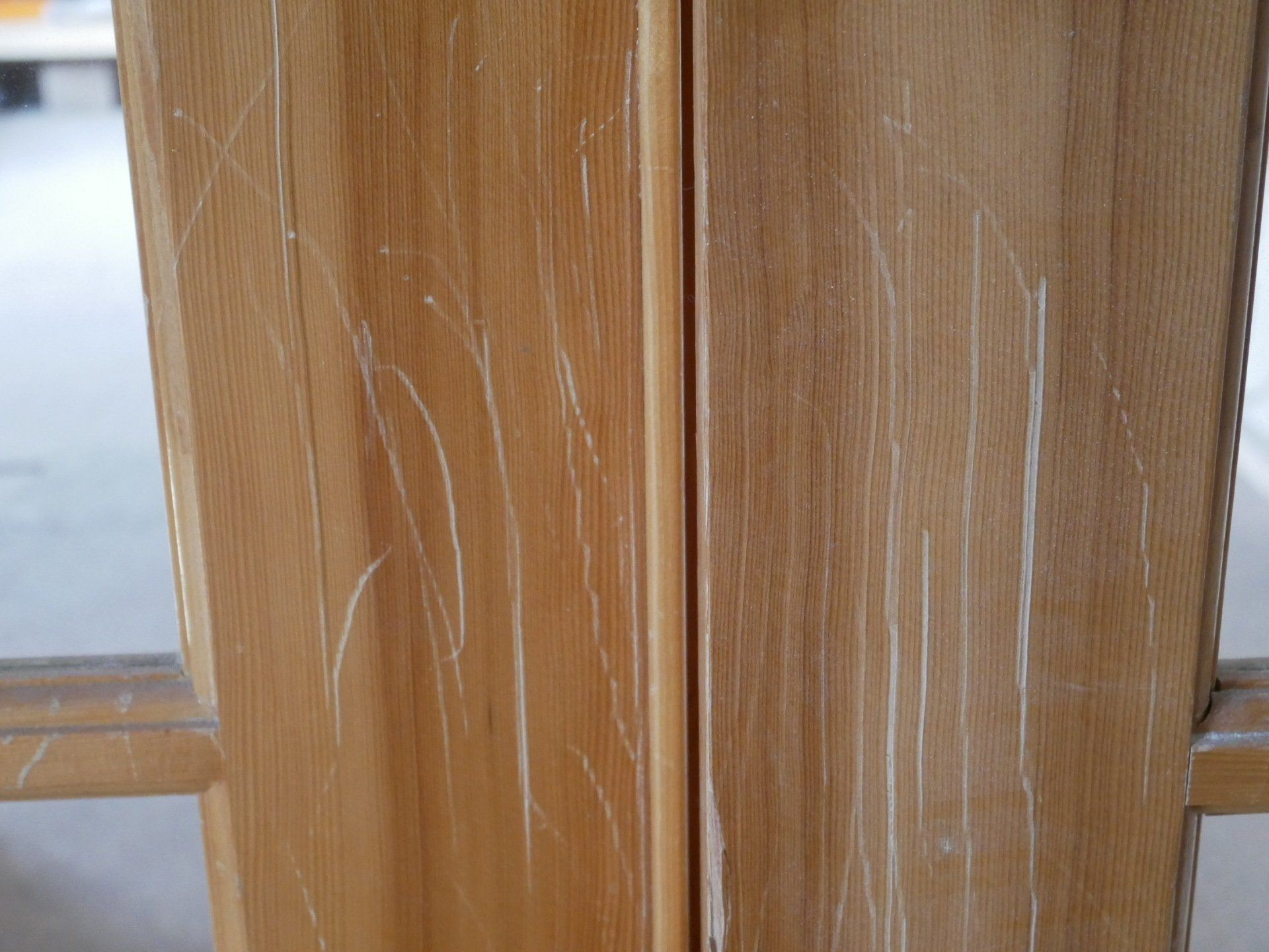 Dog Scratches Door Before