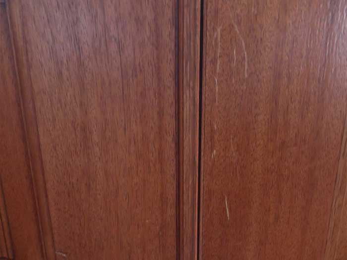 Dog Scratches Front Doors Before