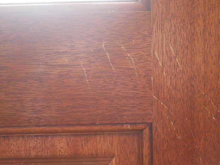 Dog Scratches Front Door Before
