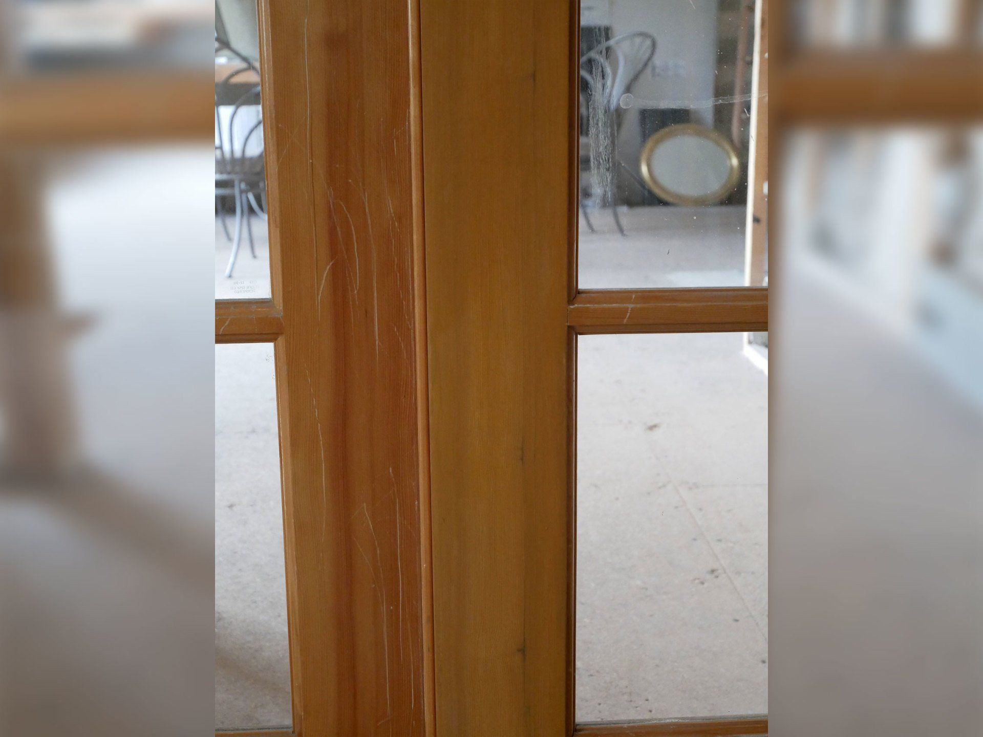 Dog Scratches Doors After