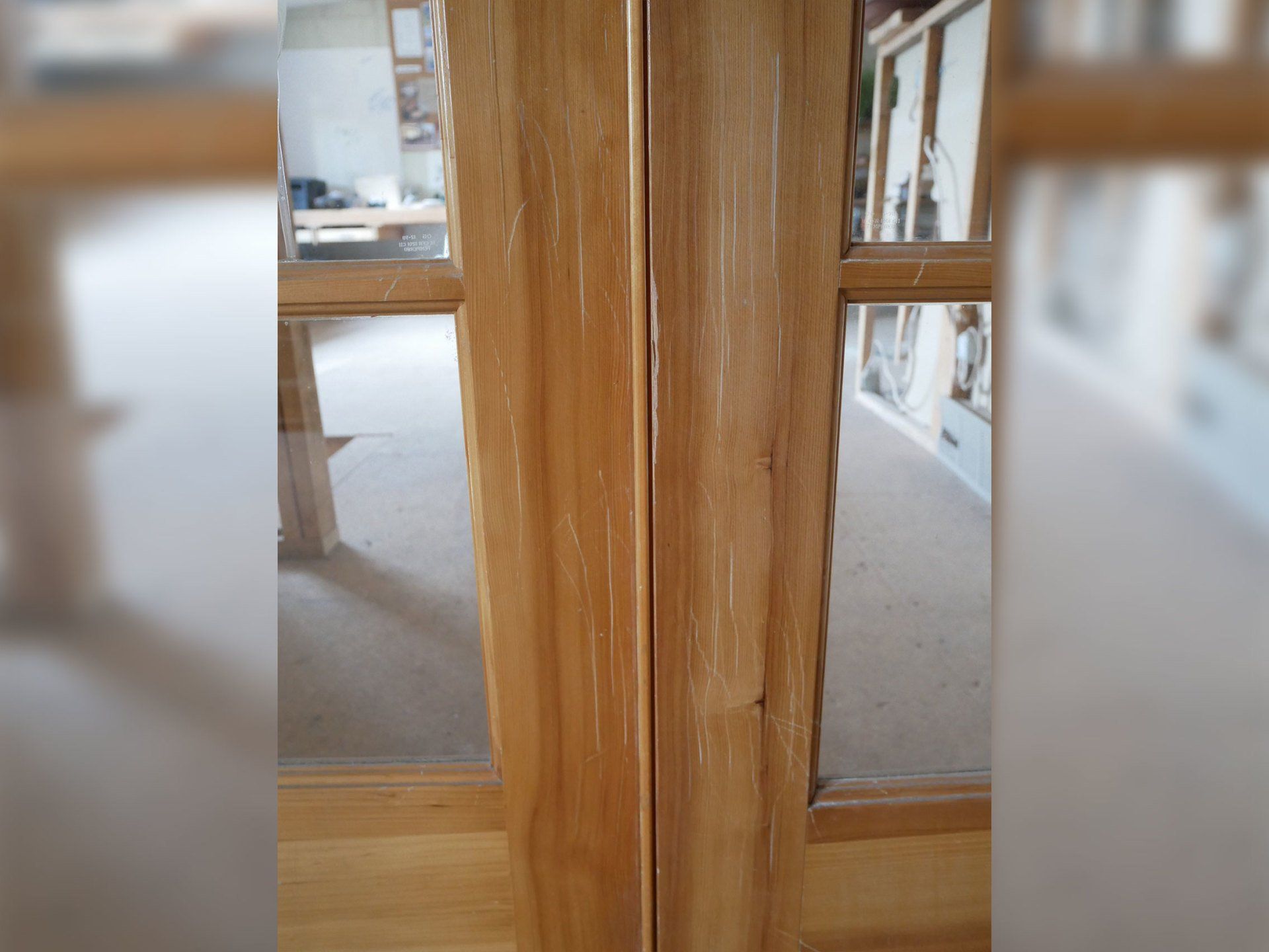 Dog Scratches Doors Before