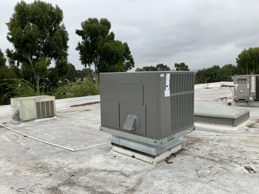 A rooftop with HVAC units against a backdrop of trees under a cloudy sky.