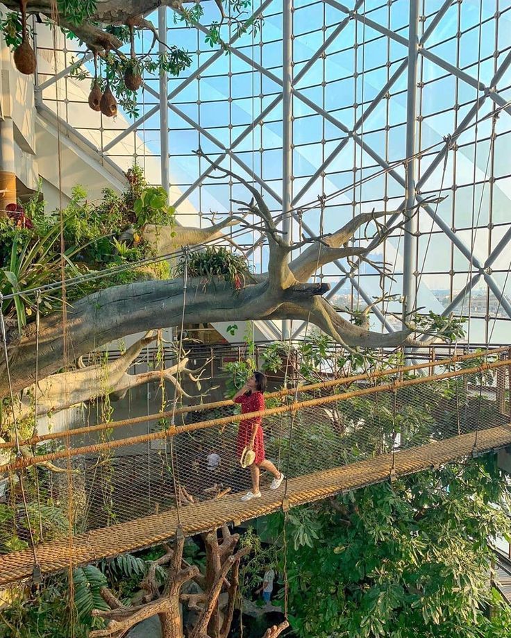 Explore The Green Planet Dubai, an indoor rainforest with exotic wildlife, interactive exhibits,  immersive eco-experience