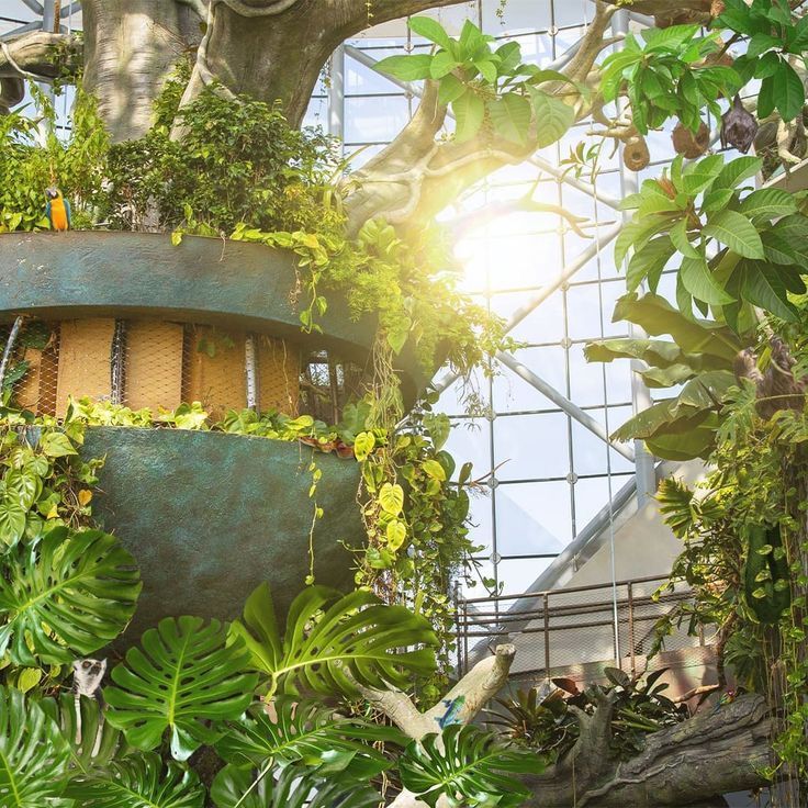 The Green Planet in Dubai, an indoor tropical rainforest with diverse wildlife, interactive exhibits, eco-friendly activities