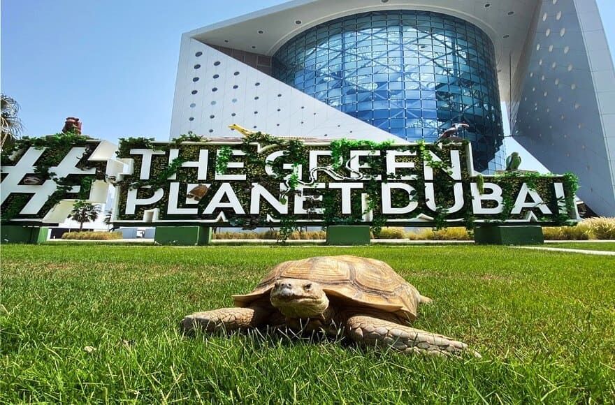 he Green Planet, Dubai’s indoor rainforest, featuring diverse species, interactive learning, and sustainable eco experiences