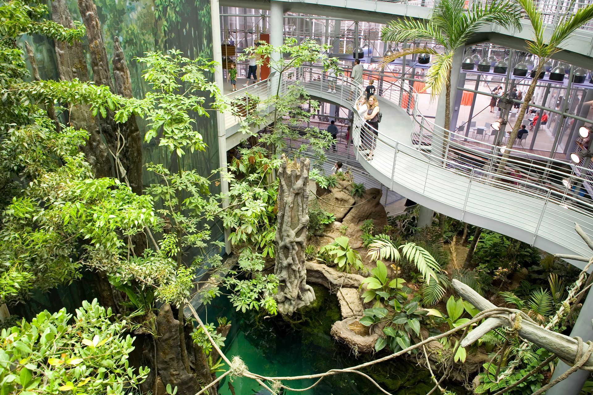 Green Planet in Dubai, an indoor rainforest offering a unique wildlife experience and educational eco-friendly exhibits.