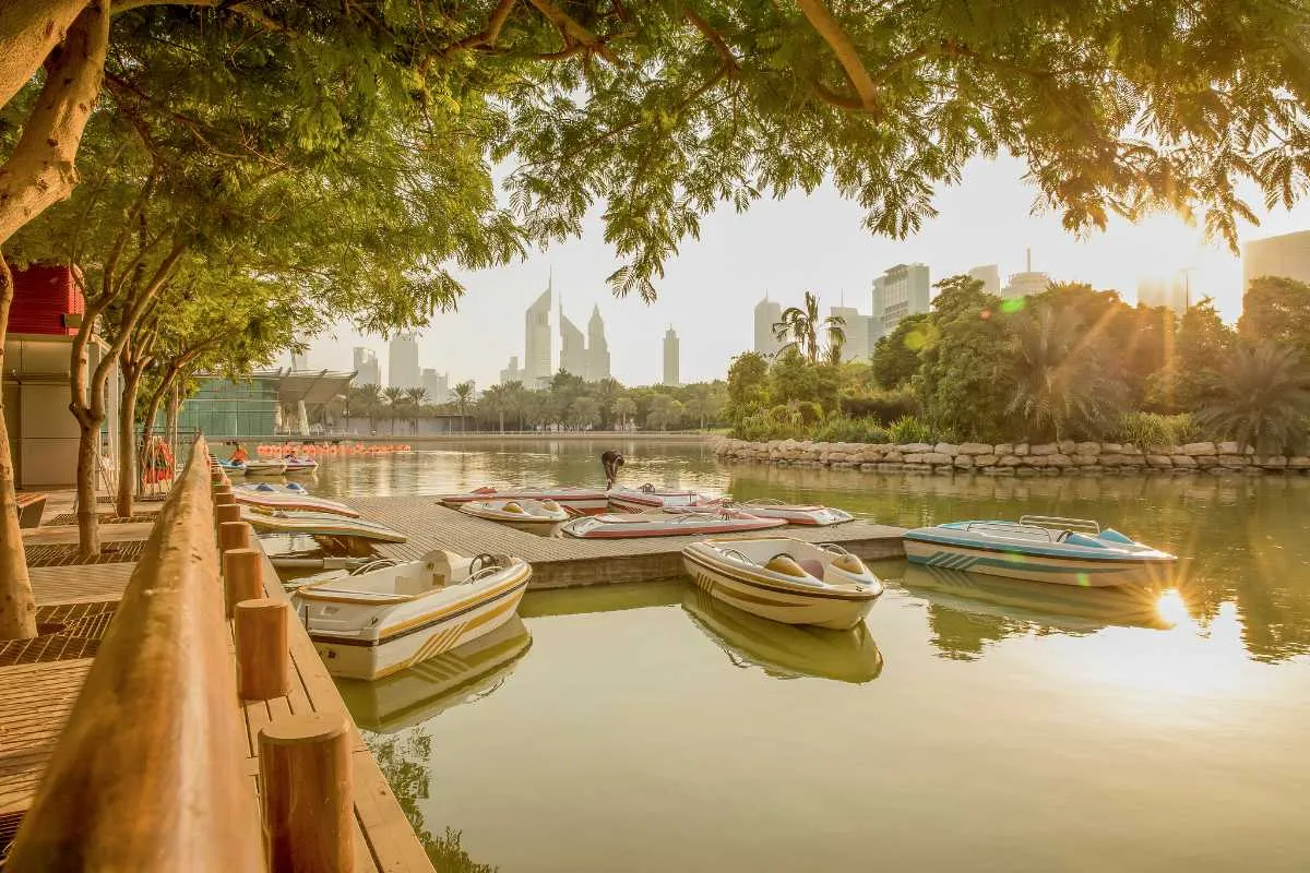 The UAE deserts, including parts of Dubai, have become greener due to increased rainfall in recent years.