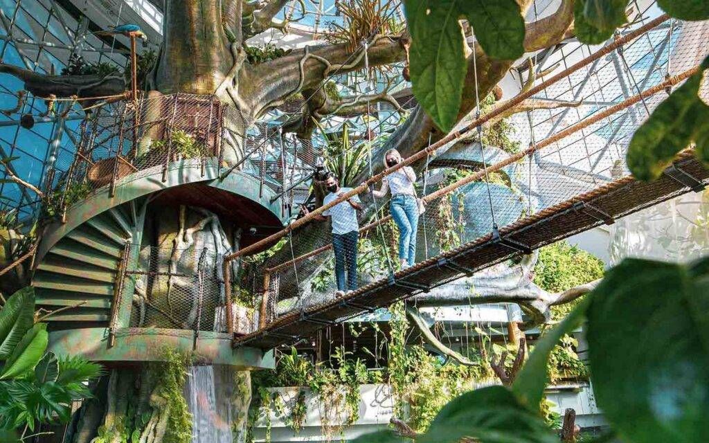 Visit The Green Planet Dubai, an indoor rainforest with exotic animals, interactive displays,  focus sustainability nature