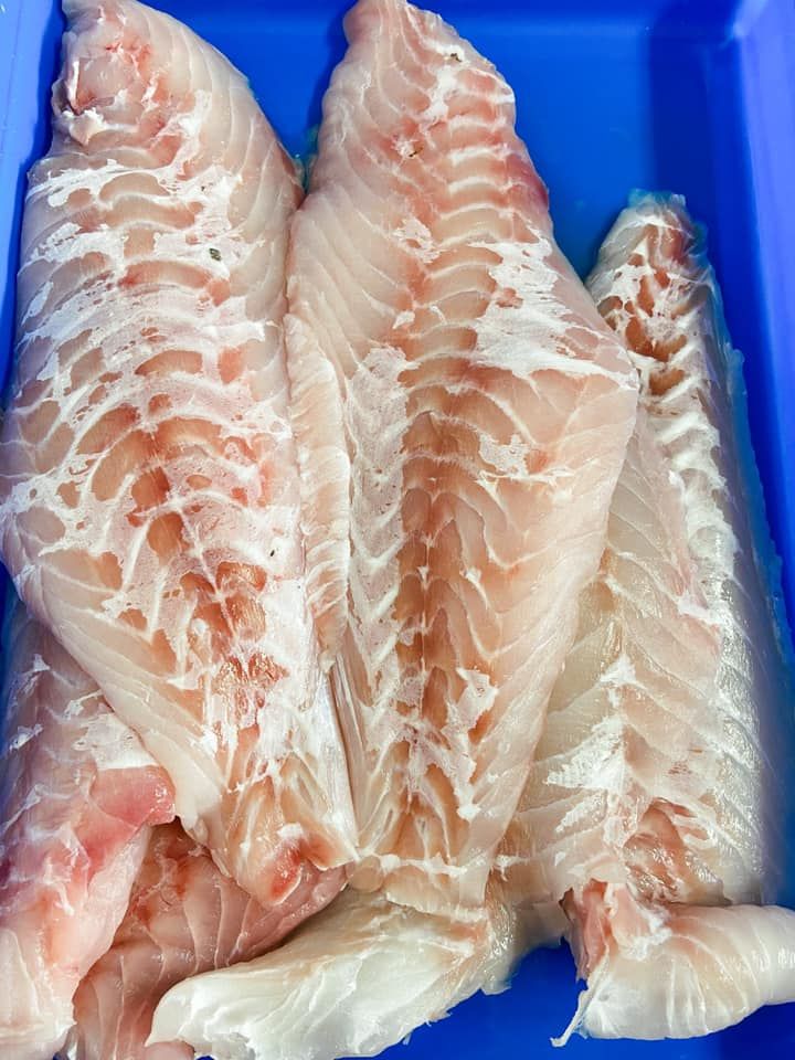 Fresh, raw white fish fillets arranged side-by-side in a blue plastic tray.