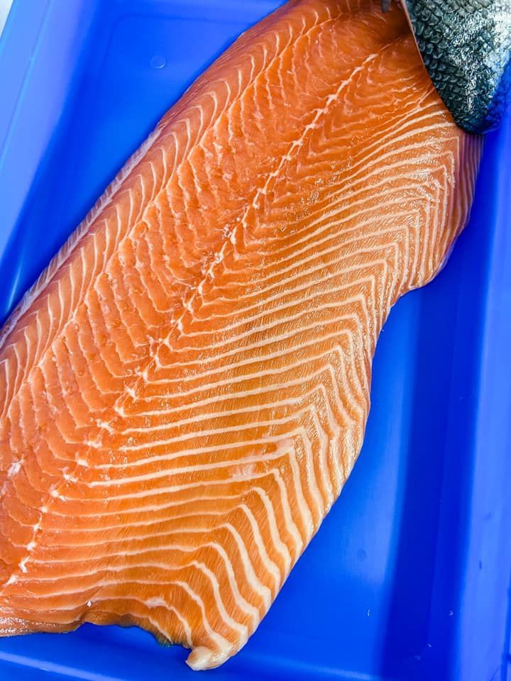 A large, fresh salmon fillet with orange flesh and white marbling, resting on a bright blue tray.