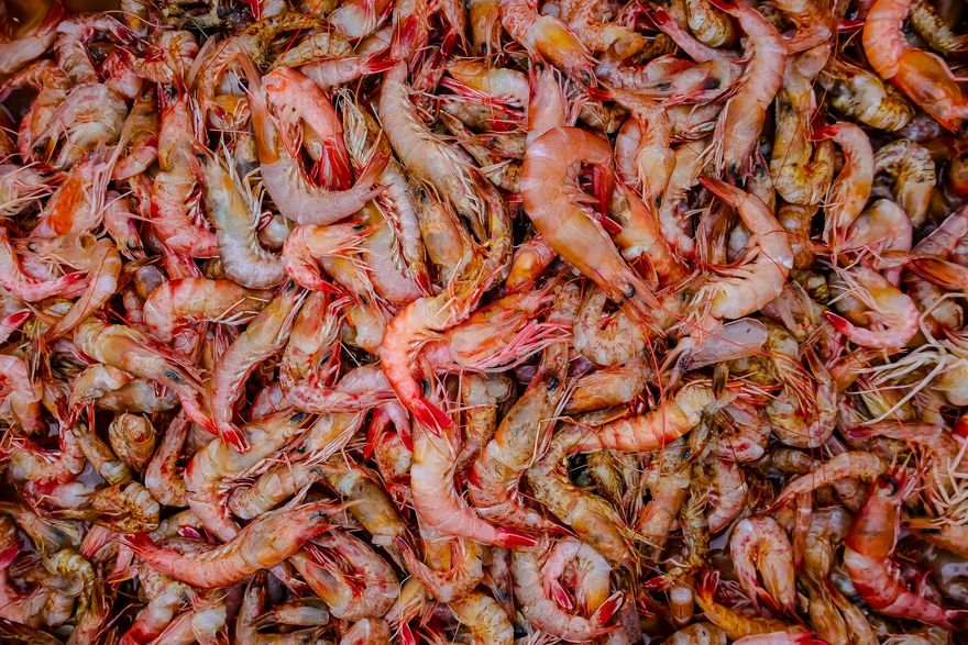 A large, dense pile of fresh raw shrimp in shades of pink, orange, and translucent grey.