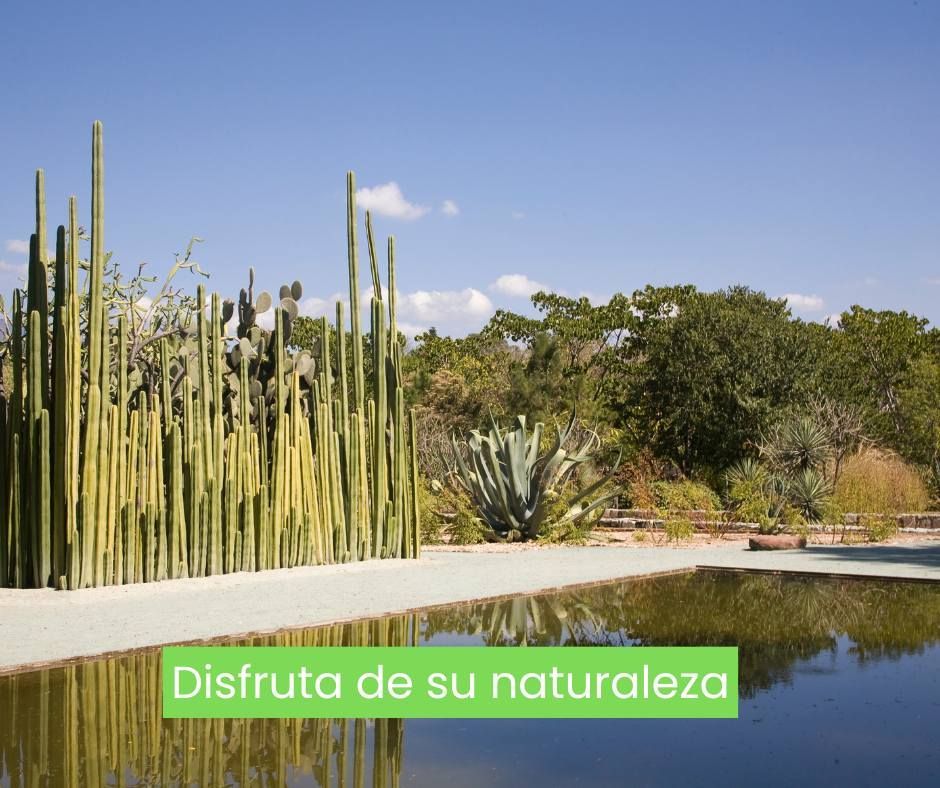 NATURALEZA