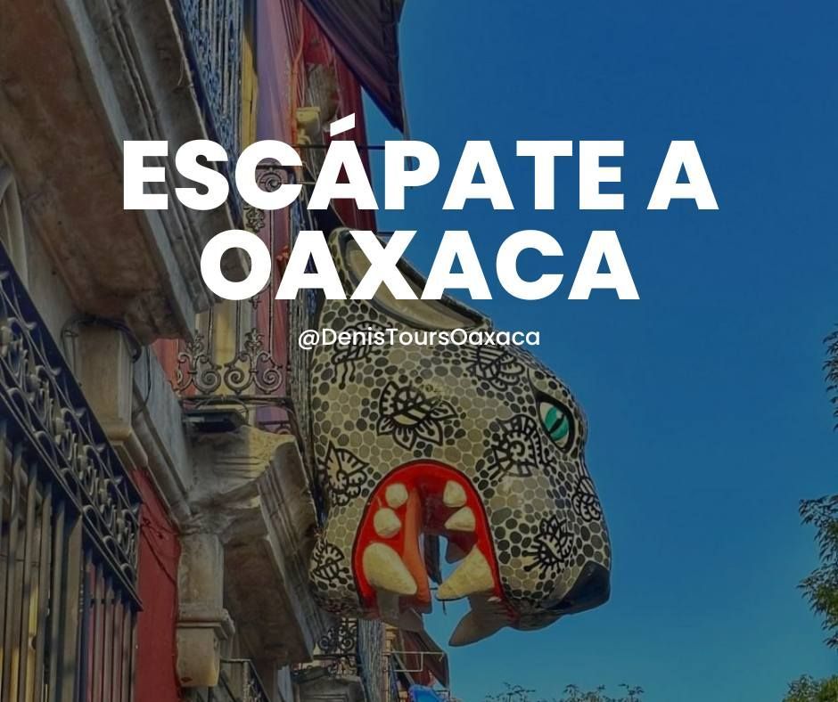 Denis Tours Oaxaca