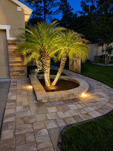 Night-lit palm tree in a landscaped front yard with stone pavers and a curved garden bed.