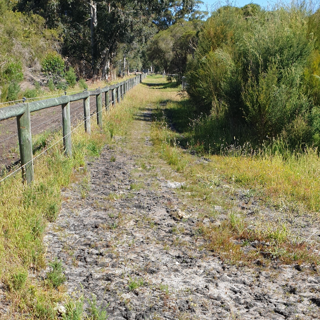 Firebreak in Serpentine Jarrahdahl