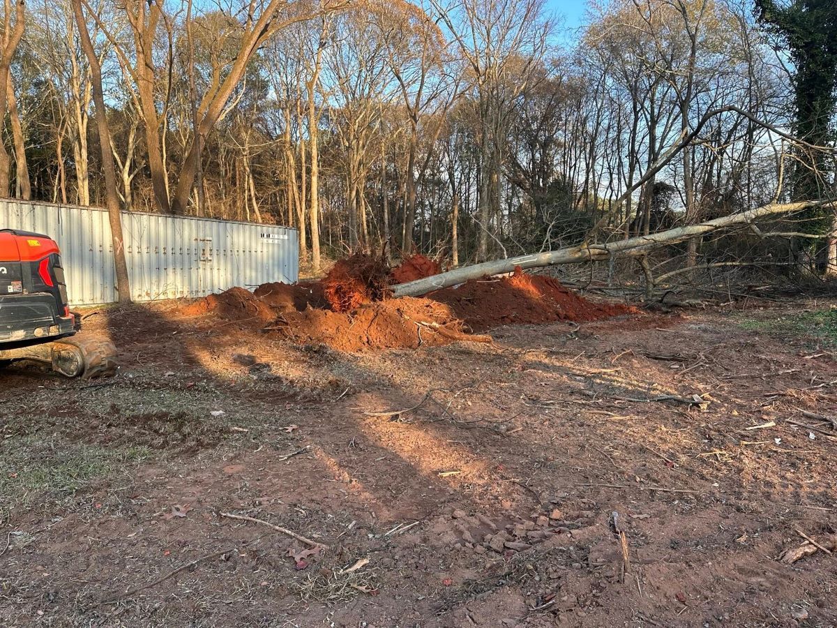 A small excavator next to a pile of red dirt and a fallen tree in a field. White fence and trees in background.