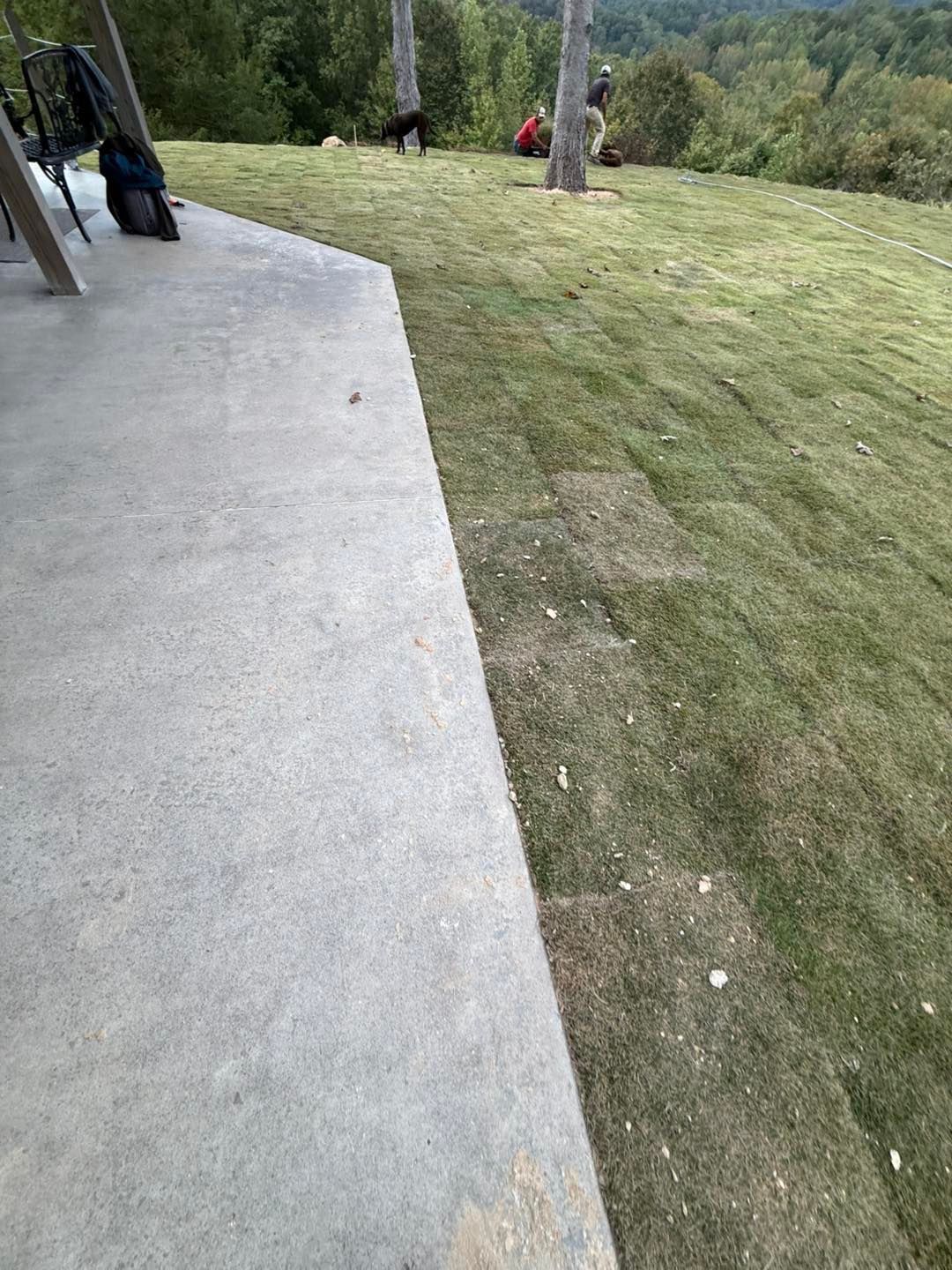 Concrete patio next to a grassy area with people in the background.