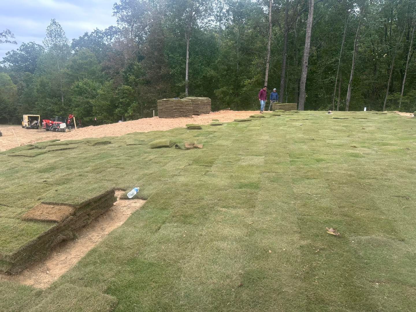 Workers laying sod on a grassy lawn with trees in the background.