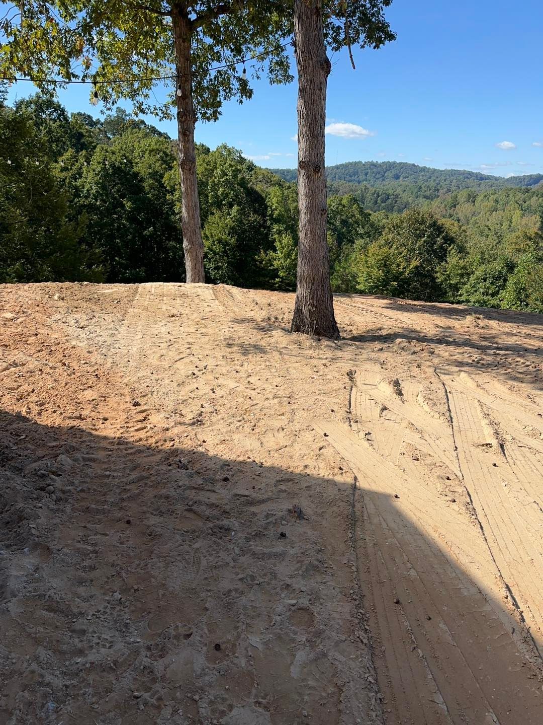 Dirt road with tire tracks, two trees, and a view of trees and hills under a blue sky.