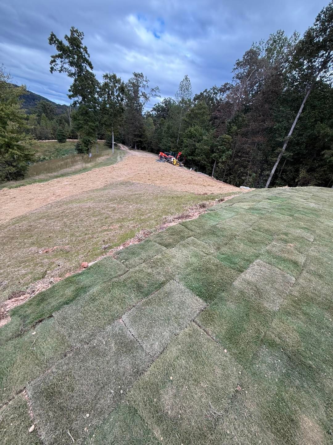 A hillside with a freshly sodded green lawn and areas of dried, yellow grass. Trees are in the background under a cloudy sky.