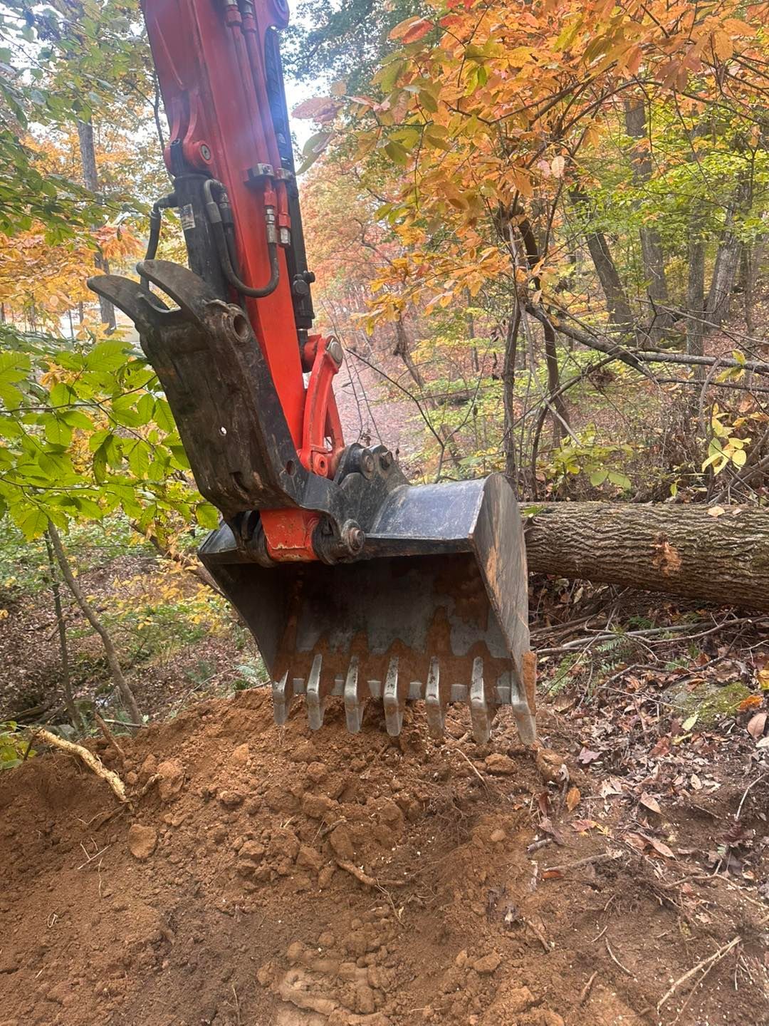 Orange excavator bucket digging into dirt path in a wooded area with fall foliage.