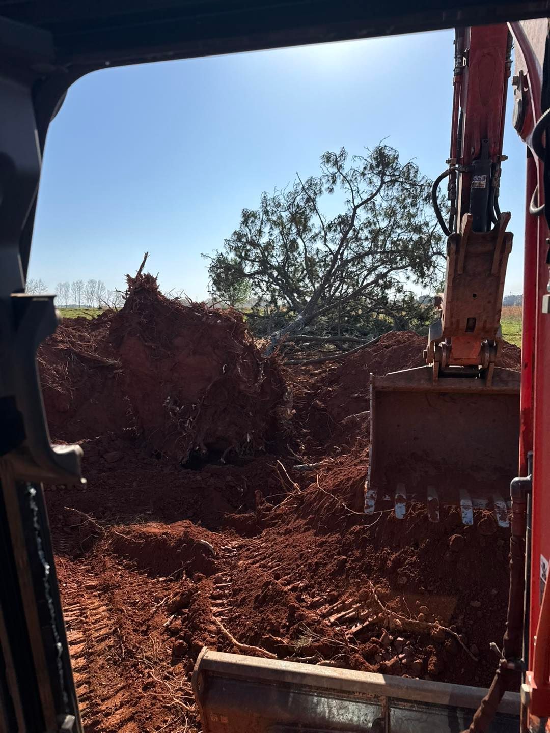 An excavator bucket scoops red dirt near a tree. View from inside the machine on a sunny day.