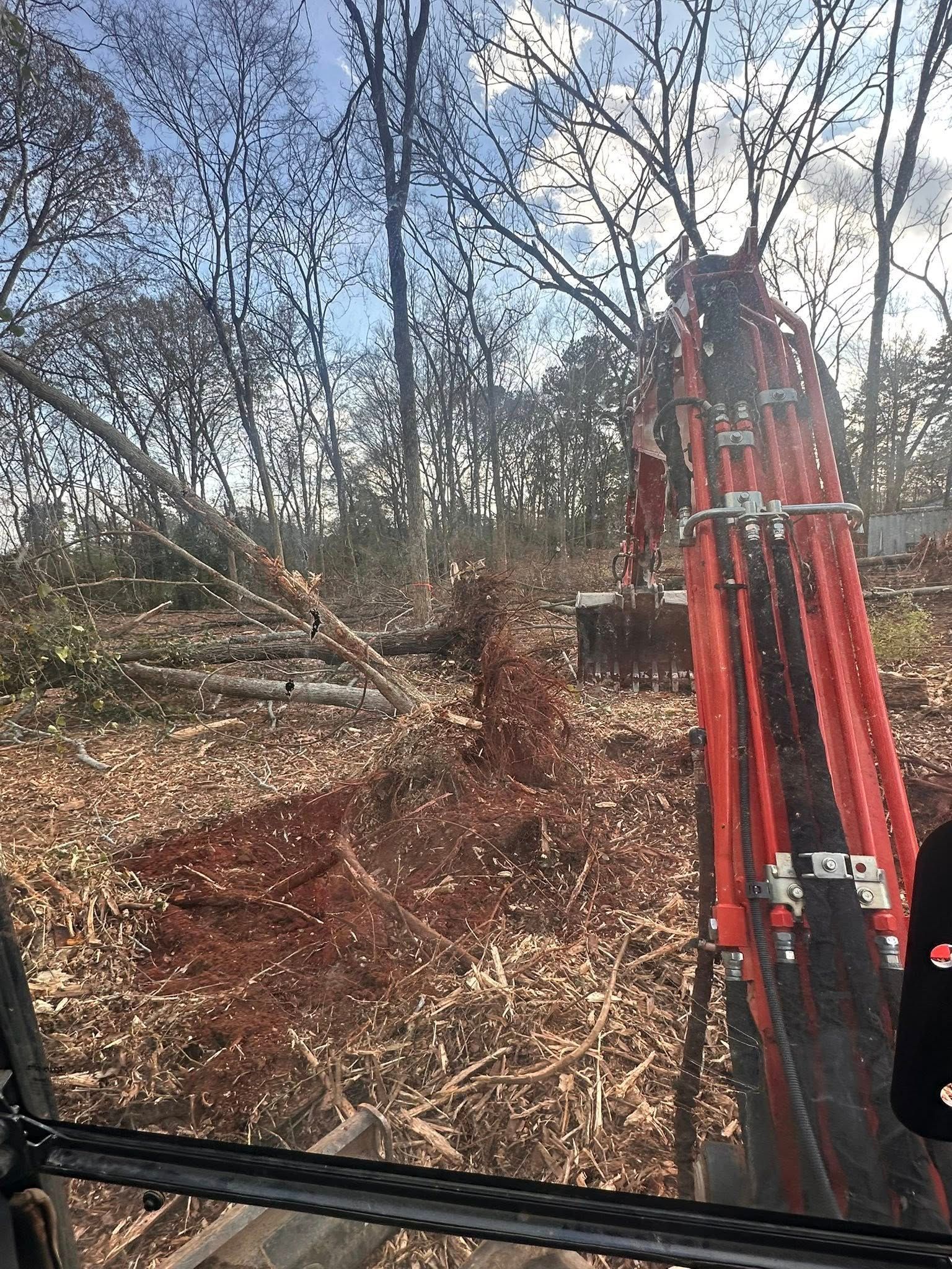 Excavator clearing fallen trees in a wooded area; red arm extending.