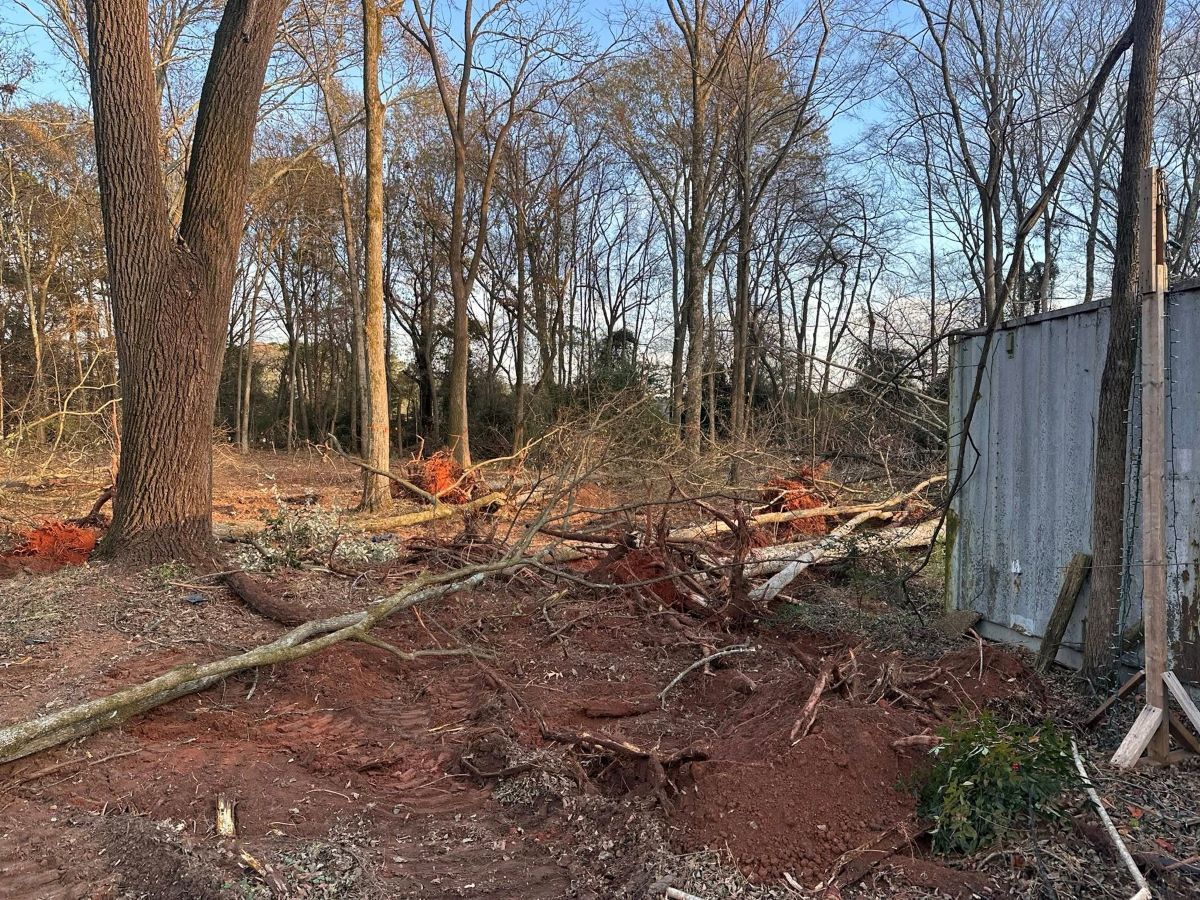 Clearing of trees in a wooded area with red soil, felled branches, and a corrugated metal structure.