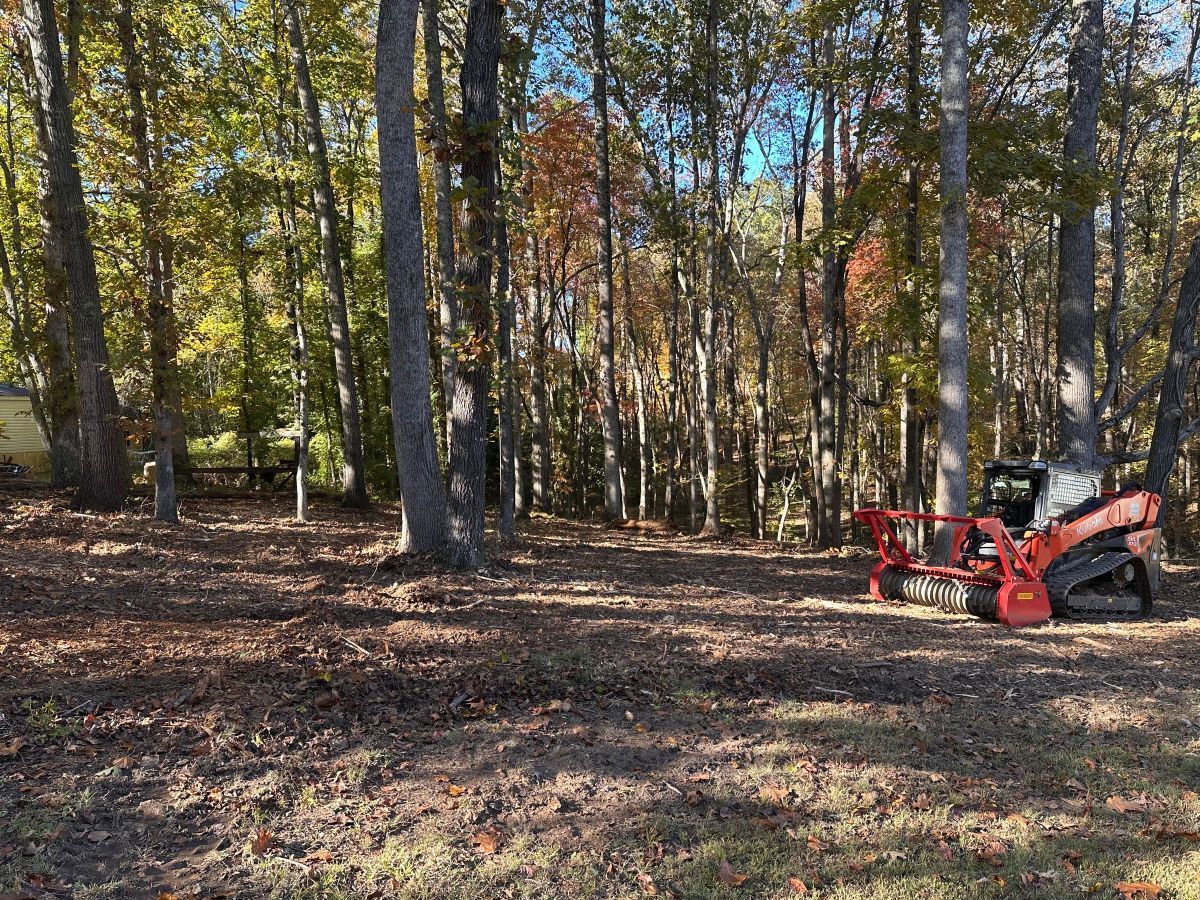 Skid steer with a forestry cutter clearing fallen leaves in a wooded area in autumn.