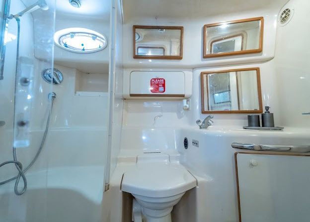 A bathroom on a boat with a toilet, sink, shower and mirrors.