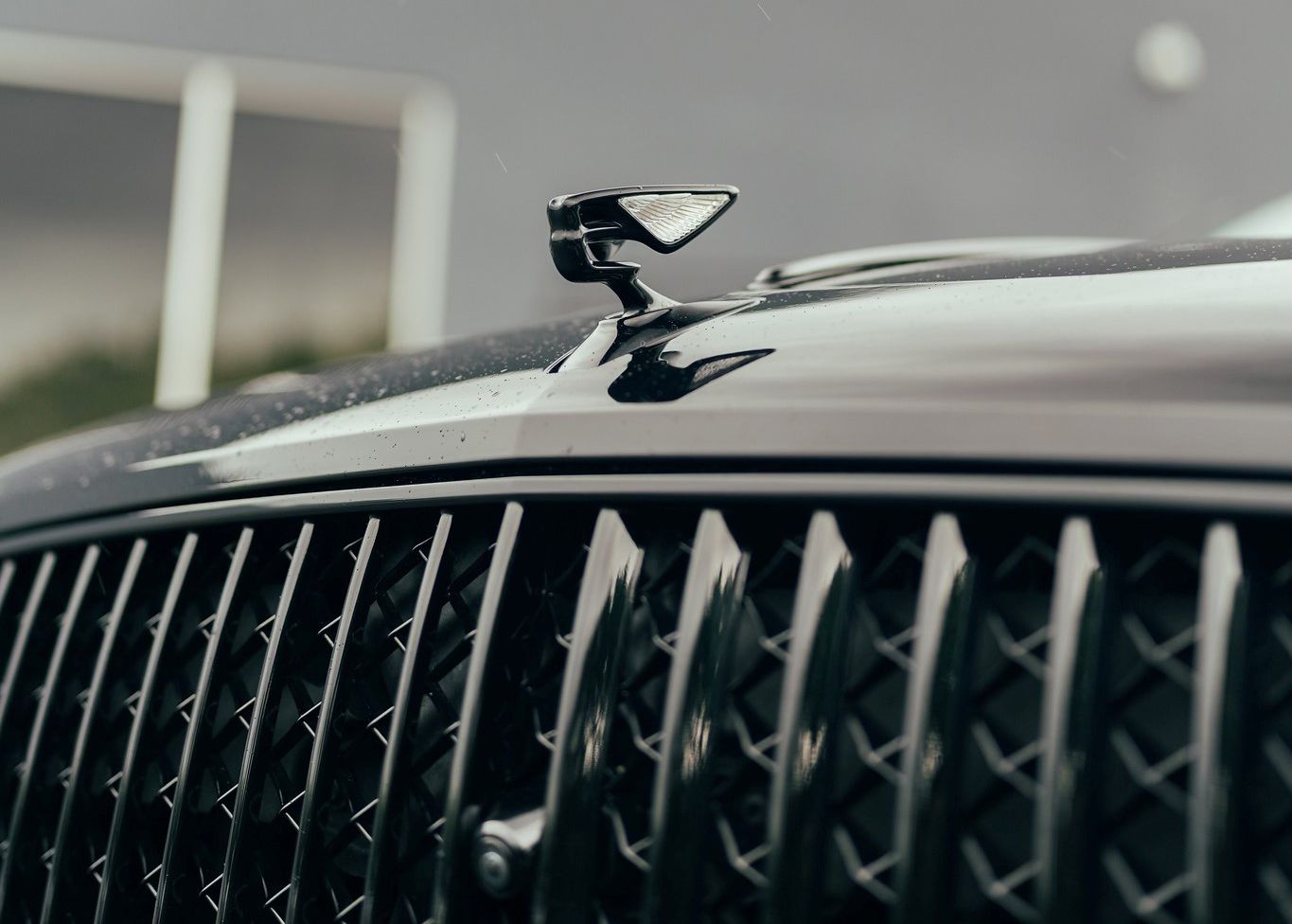 A close up of the front grille of a Bentley car.