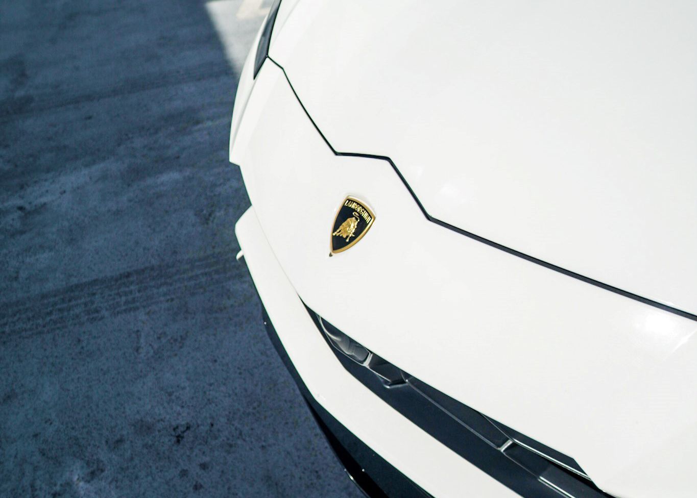 A close up of the front of a White Lamborghini.