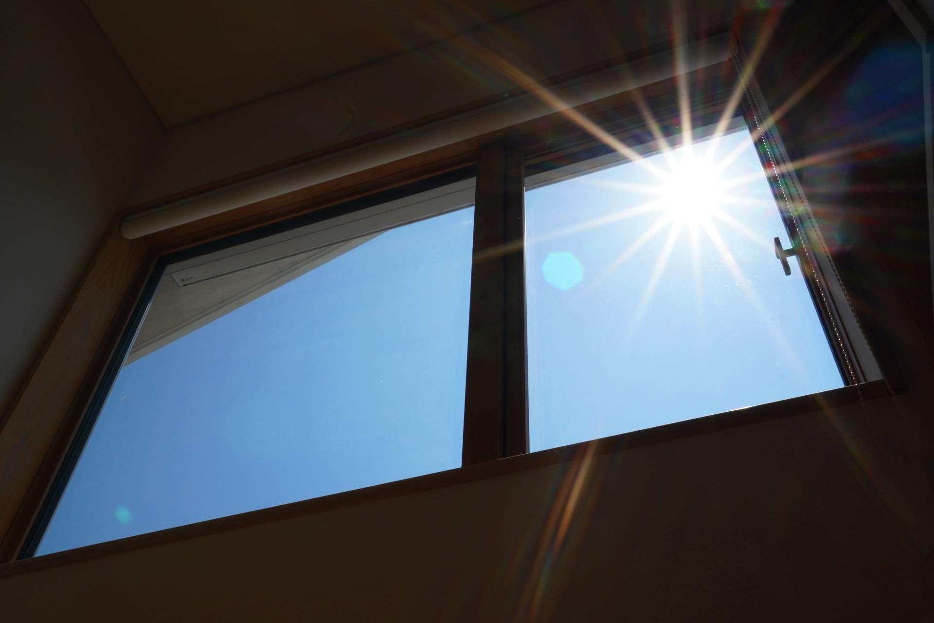 South-facing window in a Toledo, OH, home.