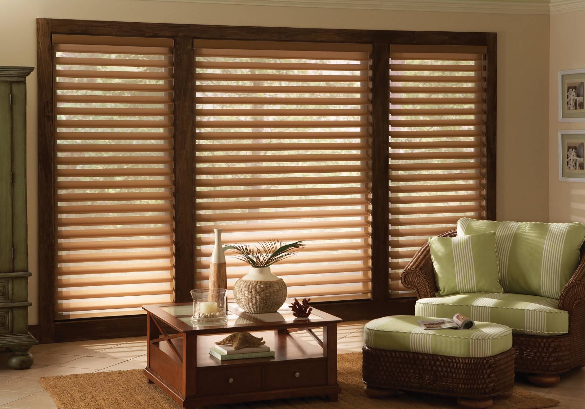 Hunter Douglas Silhouette® Sheer Shades covering a large window in a living room near Toledo, OH