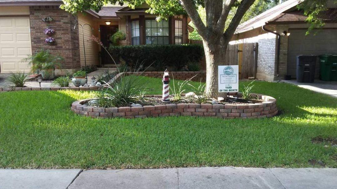 A house with a tree in the middle of the yard