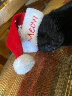 A black cat wearing a santa hat is sleeping on a chair.