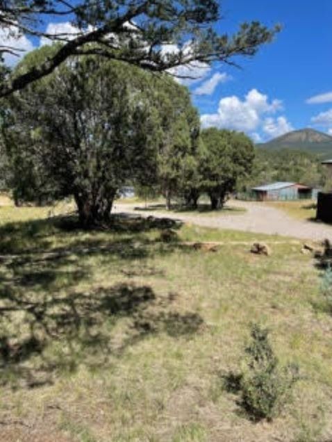 A lush green field with trees and mountains in the background