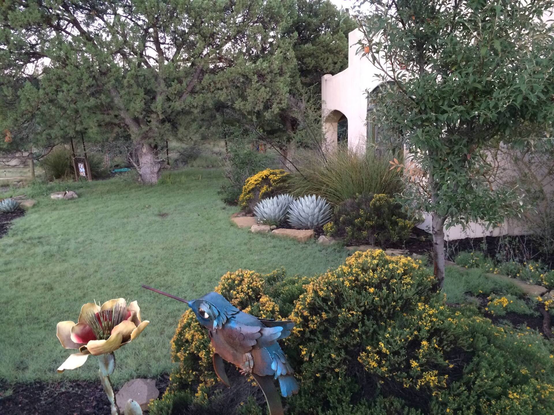 a hummingbird is sitting on a flower in a garden .