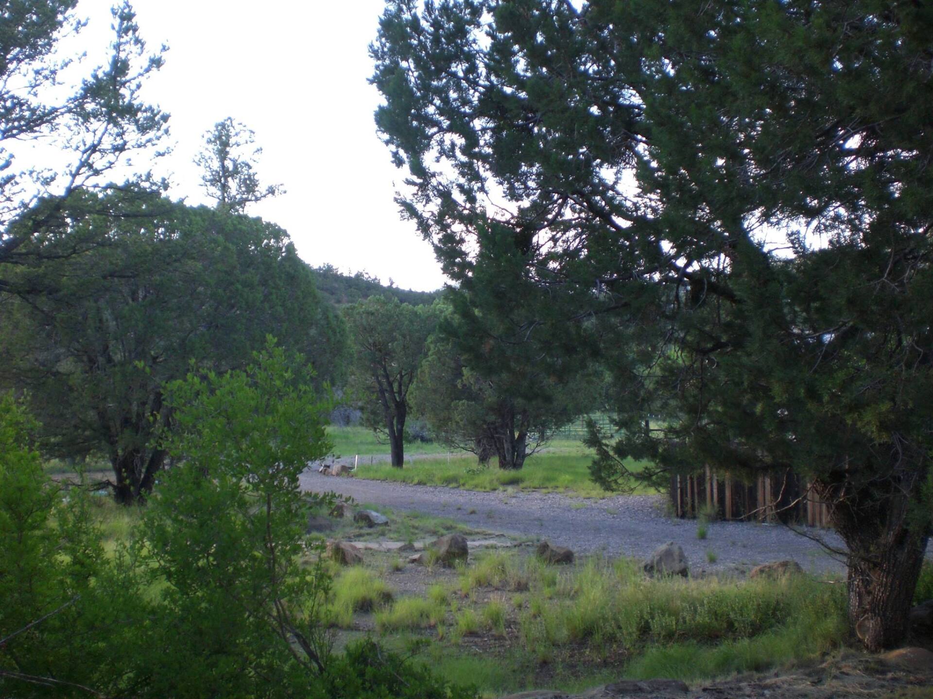 a road that is surrounded by trees and grass